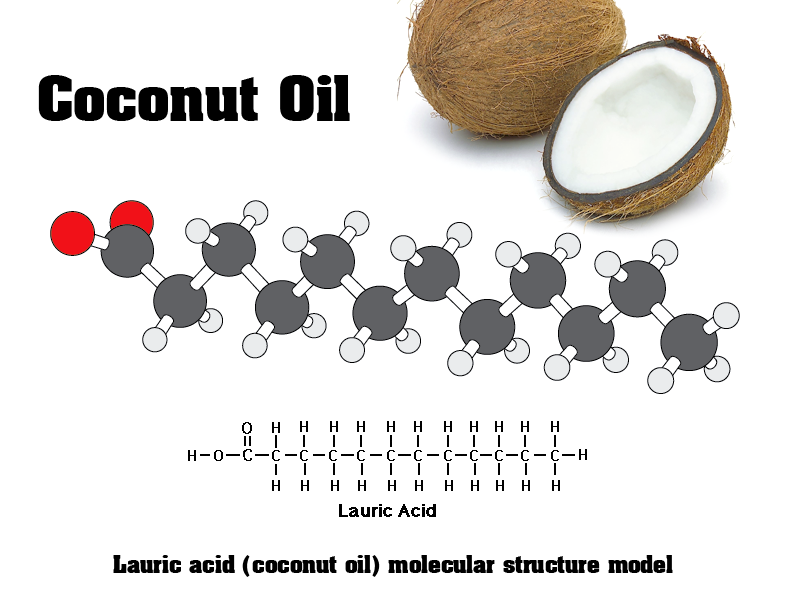 Lauric Acid: ขุมทรัพย์จากมะพร้าวเพื่อผิวสุขภาพดี 🥥✨Lauric Acid: ขุมทรัพย์จากมะพร้าวเพื่อผิวสุขภาพดี 🥥✨ image